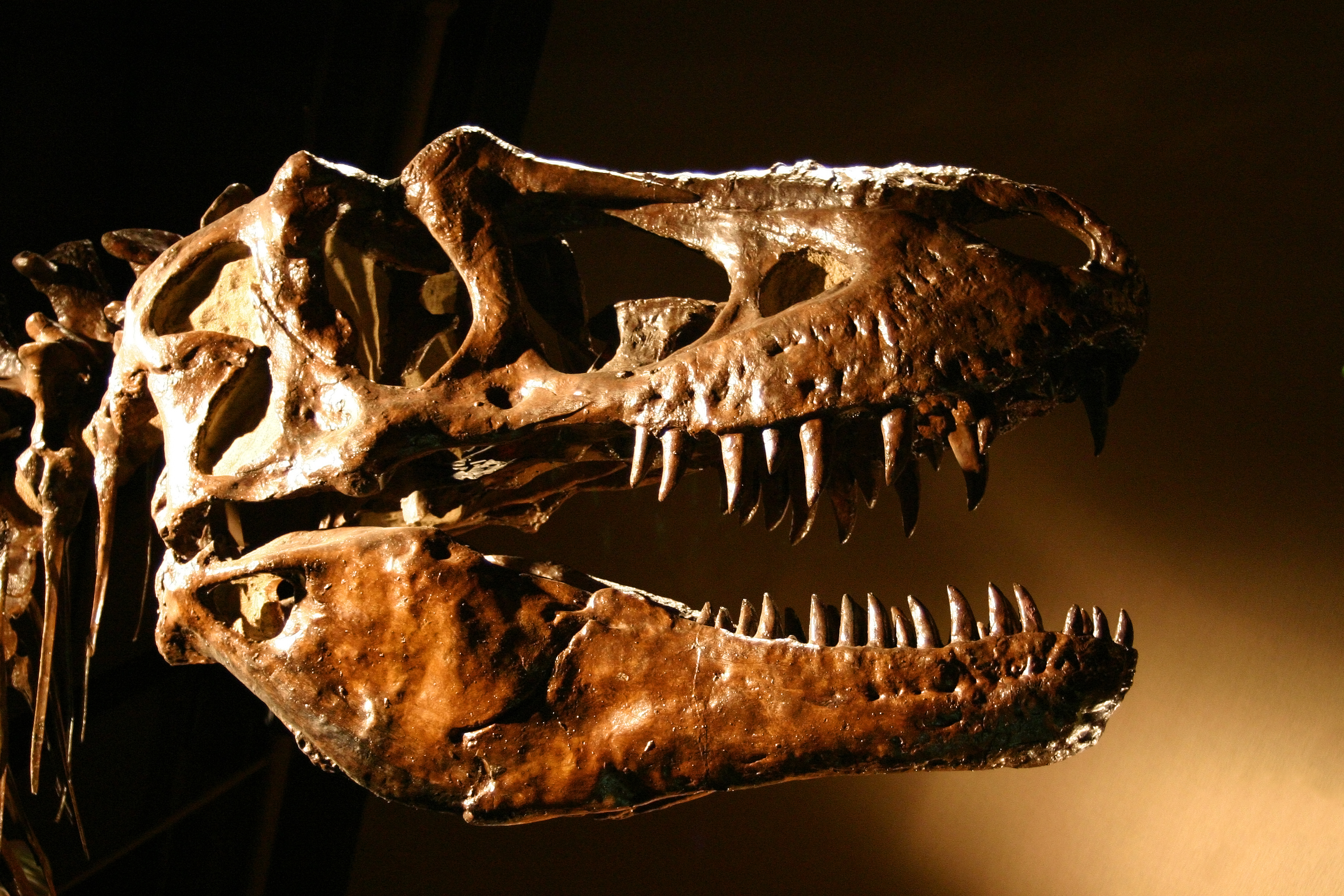 drumheller_royal_tyrell_tour