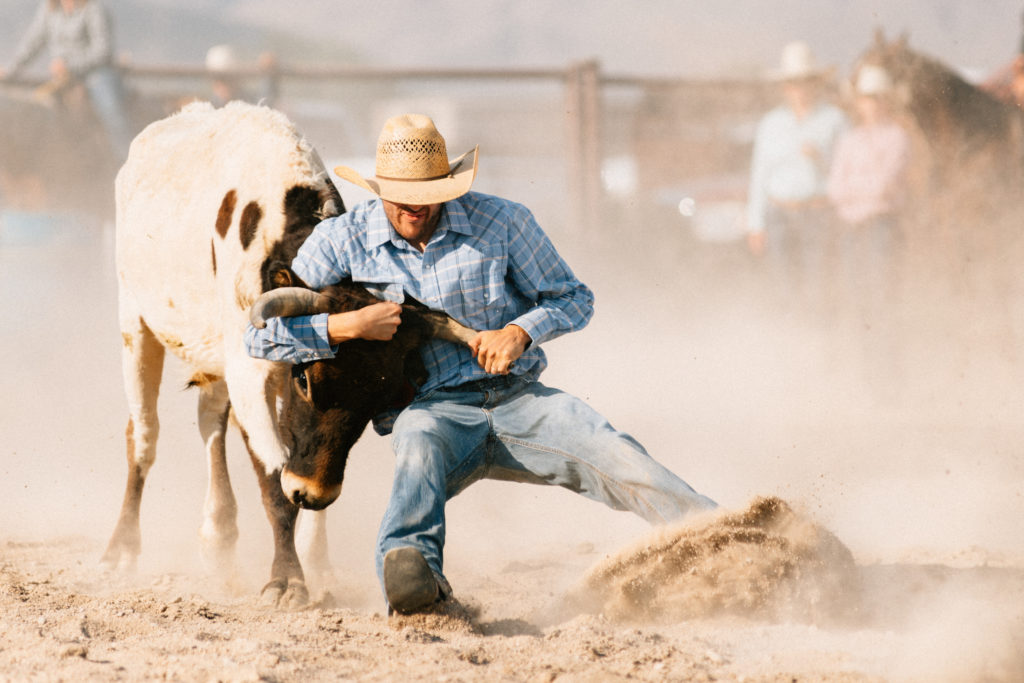 Calgary Stampede
